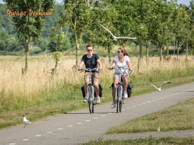 Holiday house - No title - 1 - Environment photo 17