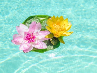 Villa Can Toni - Outdoor photo 17