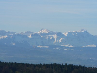 Holiday apartment Castle view - Outdoor photo 7