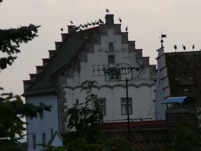 Holiday apartment Castle view - Environment photo 16