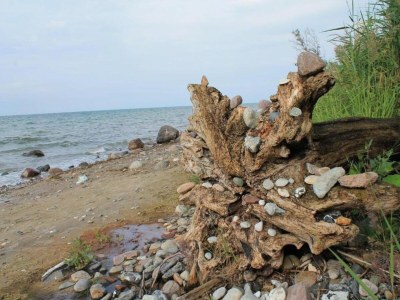 Bungalow Bungalow in Damshagen nahe der Ostsee - Environment photo 20