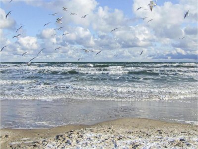 Bungalow Bungalow in Damshagen nahe der Ostsee - Environment photo 21