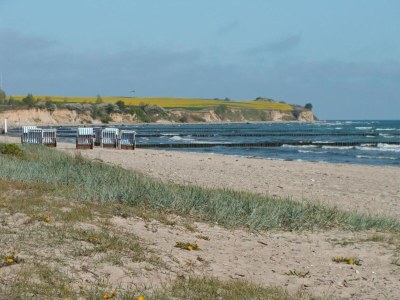 Bungalow Bungalow in Damshagen nahe der Ostsee - Environment photo 36