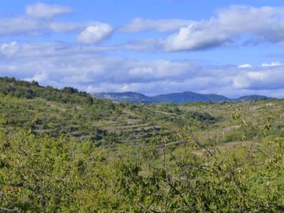Villa Villa in La Tour-sur-Orb with Pool & Garden - Environment photo 44