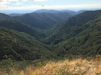 Villa Villa in La Tour-sur-Orb with Pool & Garden - Environment photo 51