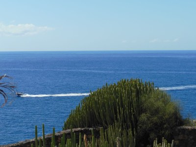 Apartment Buena Vista - Environment photo 19