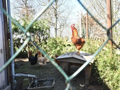 Apartment Ferienwohnung in Rerik bis zu 2 Personen - Outdoor photo 34