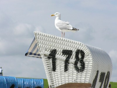 Apartment Ferienwohnung in Rerik bis zu 2 Personen - Outdoor photo 35