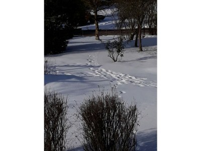 Holiday house Pirmes - Outdoor photo 12