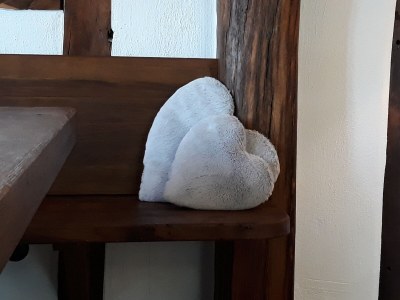 Holiday house Pirmes - Features photo 20