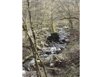 Holiday house Pirmes - Environment photo 38