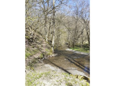 Holiday house Pirmes - Environment photo 39