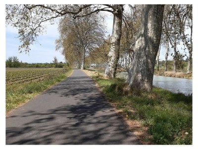 Holiday house Ferienhaus Portiragnes Plage - Environment photo 17