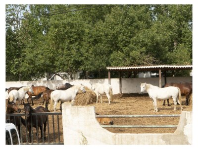 Holiday house Ferienhaus Portiragnes Plage - Environment photo 19