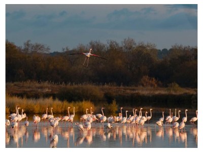 Holiday house Ferienhaus Portiragnes Plage - Environment photo 34