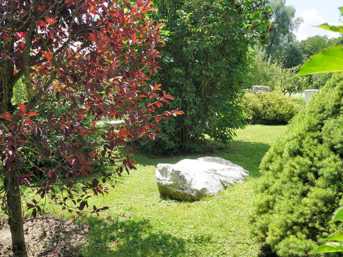 Holiday apartment Guesthouse in Wiesengrund Top 1 - Outdoor photo 4