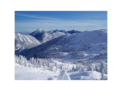 Holiday apartment Guesthouse in Wiesengrund Top 1 - Environment photo 17