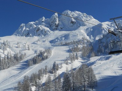 Holiday apartment Guesthouse in Wiesengrund Top 1 - Environment photo 18