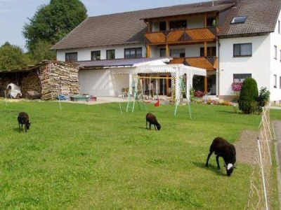 Holiday apartment 1 Gabele - Outdoor photo 2