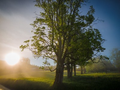 Apartment Apartment "Lebenslust" - Features photo 20
