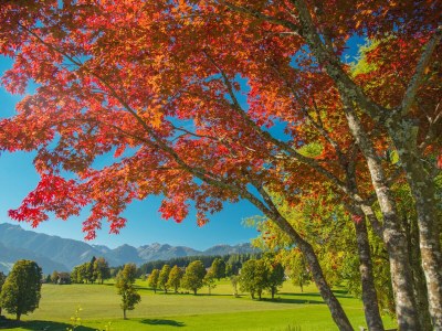 Apartment Apartment "Lebenslust" - Environment photo 32