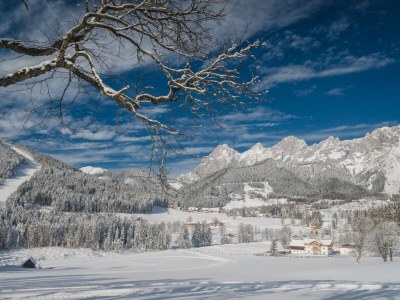 Apartment Apartment "Lebenslust" - Environment photo 34