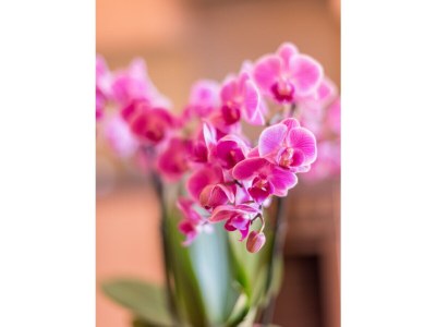 Cottage Country house "Heimatliebe" - Features photo 14