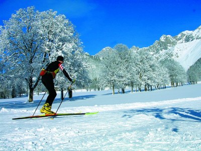 Cottage Country house "Heimatliebe" - Environment photo 19