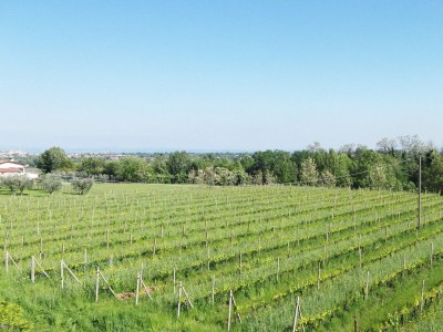 Villa Villa Paradiso - Outdoor photo 12