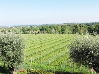 Villa Villa Paradiso - Outdoor photo 13