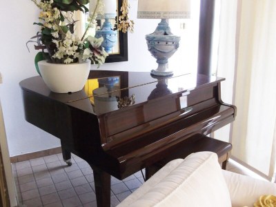 Villa Villa Paradiso - Features photo 18