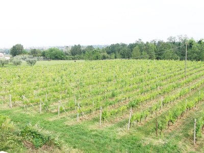 Villa Villa Paradiso - Environment photo 31