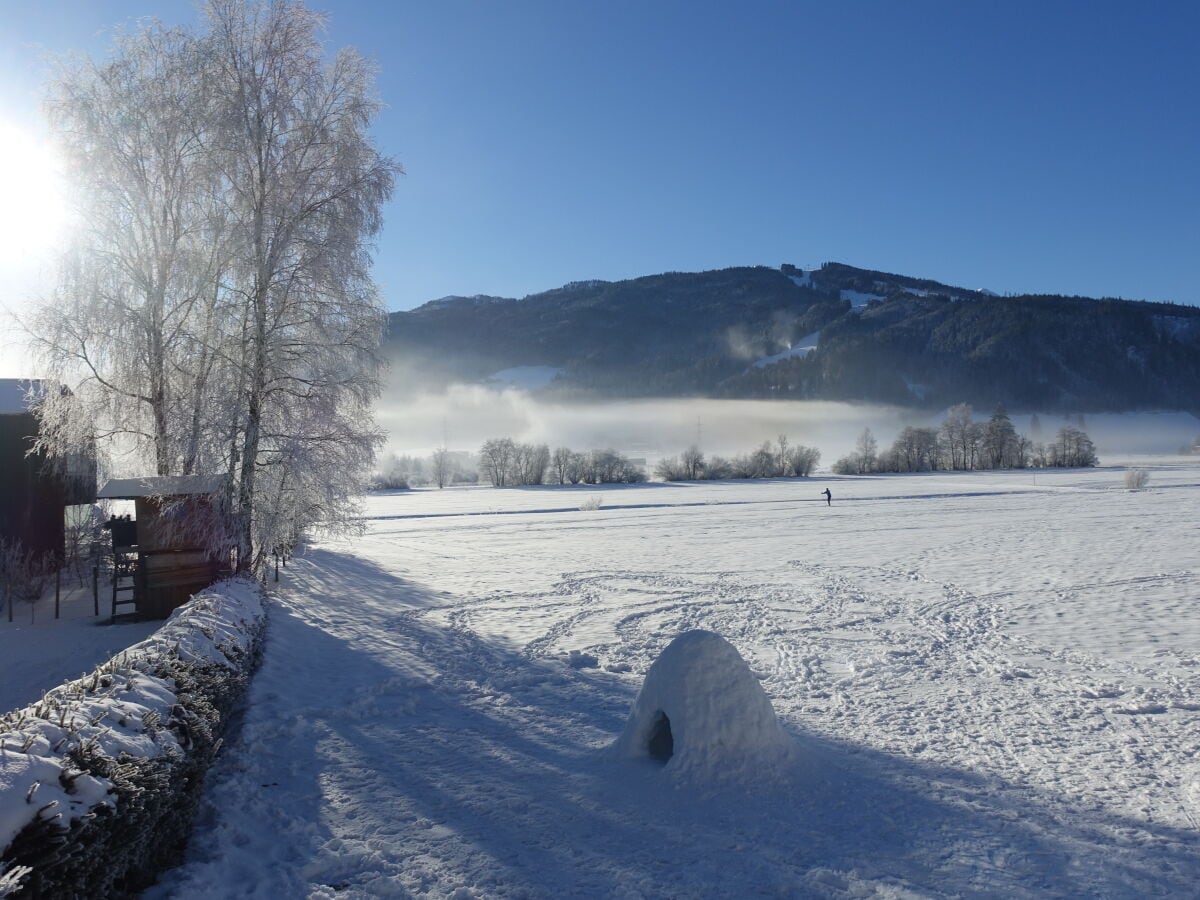 Holiday apartment Apartment Gimpl - Outdoor photo 4