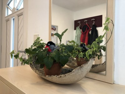 Holiday apartment Apartment Gimpl - Features photo 19