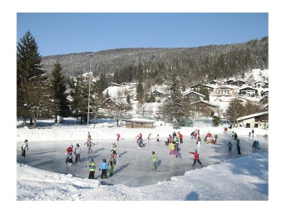 Holiday apartment Apartment Gimpl - Environment photo 22