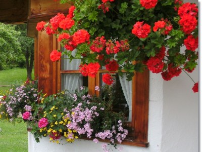 Holiday apartment Alt - Outdoor photo 5