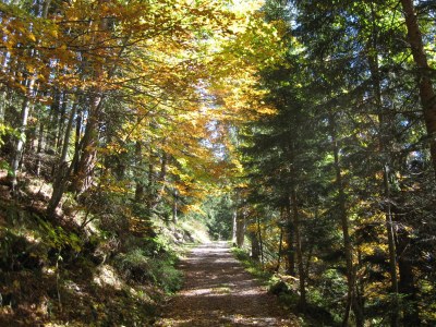 Holiday apartment Alt - Environment photo 17