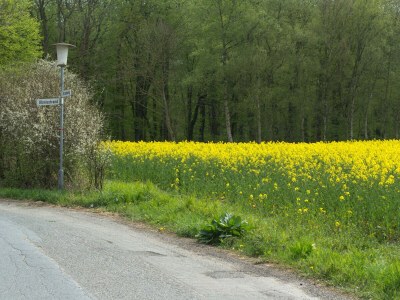 Holiday house Schleiharmonie - Environment photo 31