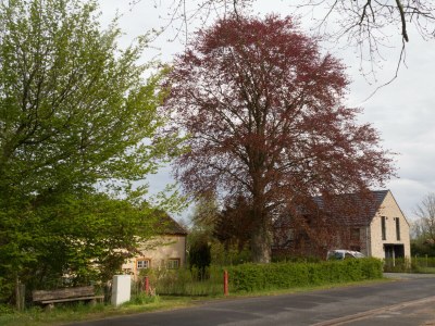 Holiday house Schleiharmonie - Environment photo 32