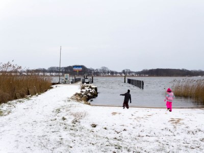 Holiday house Schleiharmonie - Environment photo 37