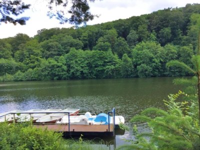 Holiday house Forest-Fringed Comfort - Environment photo 26