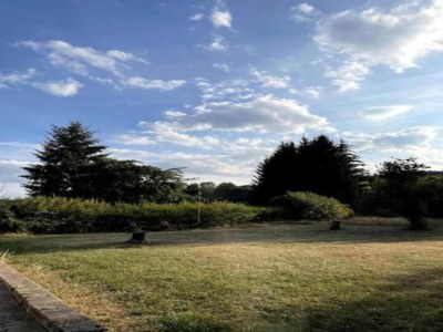 Holiday house Forest-Fringed Comfort - Environment photo 27