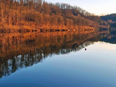 Holiday house Forest-Fringed Comfort - Environment photo 29