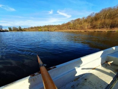 Holiday house Forest-Fringed Comfort - Environment photo 32