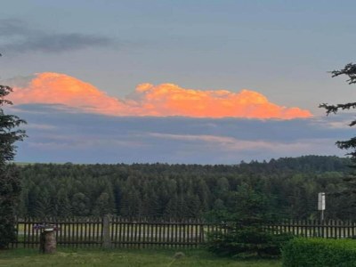 Holiday house Forest-Fringed Comfort - Environment photo 33