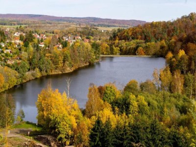 Holiday house Forest-Fringed Comfort - Environment photo 36