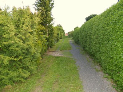 Holiday house Forest-Fringed Comfort - Environment photo 37