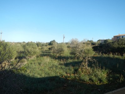 Holiday house Villa Iguana - Environment photo 14