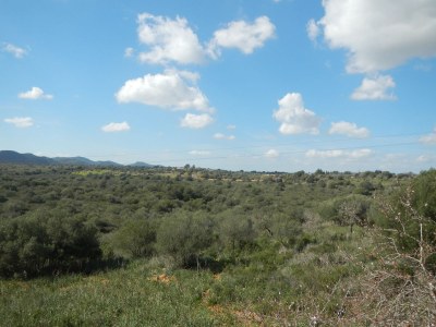 Holiday house Villa Iguana - Environment photo 15