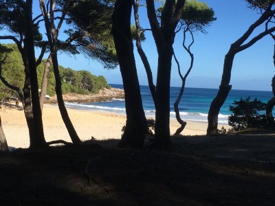 Holiday house Villa Iguana - Environment photo 19